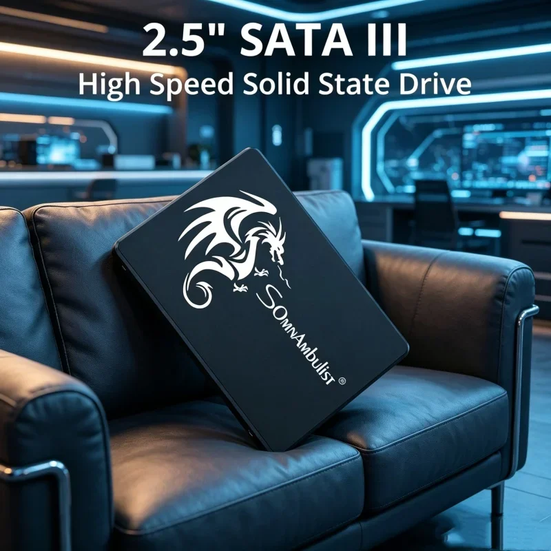 

Superior SomnAmbulist 2.5 Inch SATA3 SSD 120GB 240GB 480GB 960GB 128GB 256GB 512GB 1TB Lively Internal Solid State Drive