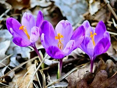 2Pcs Steel Steering…