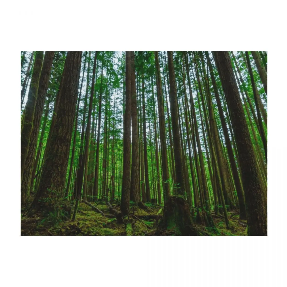 

Одеяло Endor, теплое зимнее одеяло для сна, детские одеяла