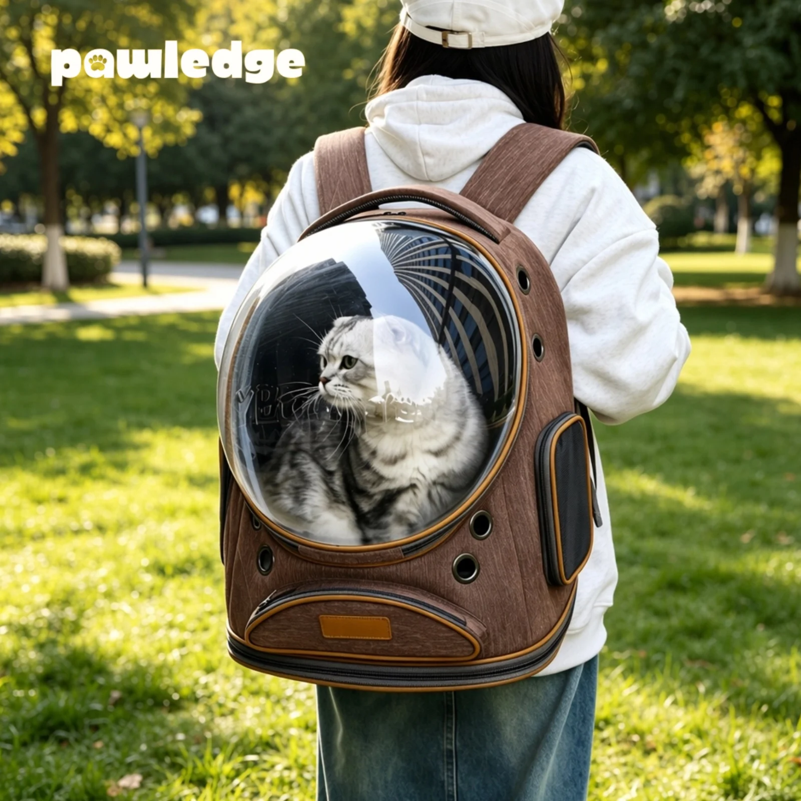 Panoramic Cat Backpack Carrier, Large Capacity Breathable Bubble Pet Bag, Outdoor Travel Backpack for Cats