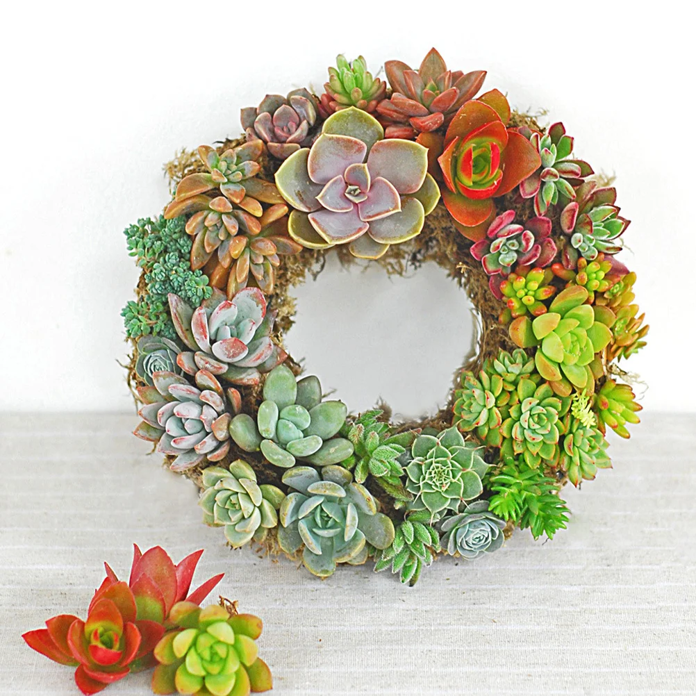 

Succulent Wreath Hook Iron Planters Frame Hanger Moss Hanging Flowerpot Wall Planter Home Bar Supermarket