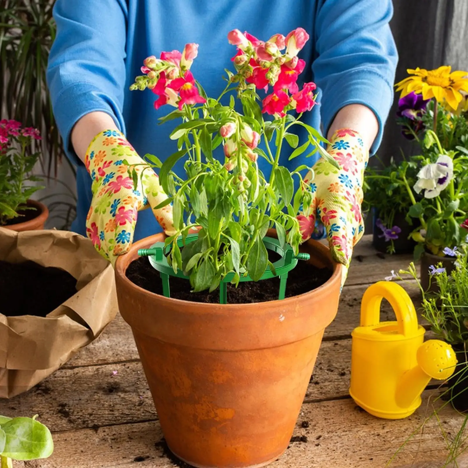 Plant Water Ring Plant Hydro Ring Drip Loop Drip Irrigation Kits Targeted watering For Watering plants watering tools
