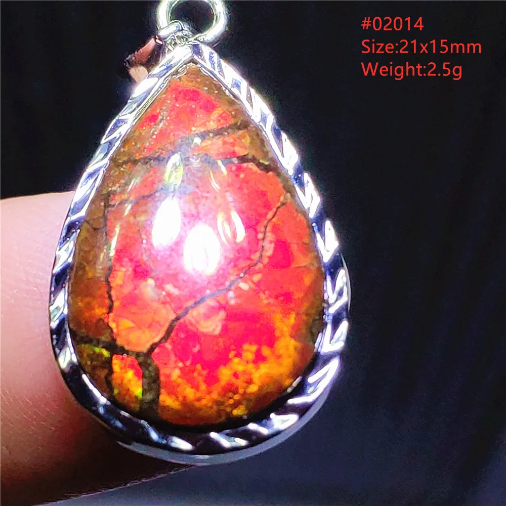 Natural Red Ammonite Ammolite Pendant Light Gemstone Green Ammolite 925 Sterling Silver Women Men Canada Necklace AAAAA