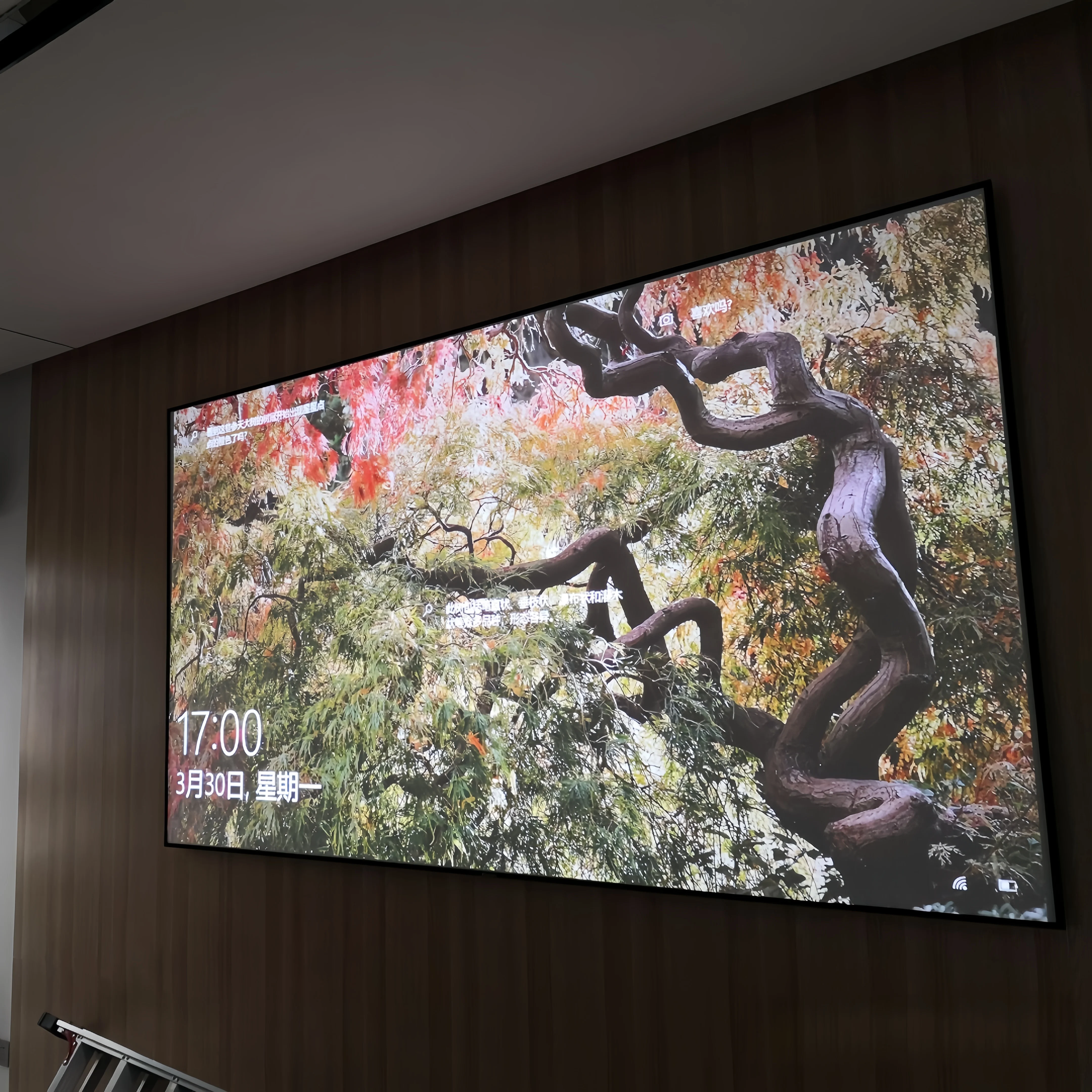 จอโปรเจคเตอร์ ALR แบบ Fresnel Optical Long Throw ขนาด 130 นิ้ว 135 นิ้ว 150 นิ้ว อัตราส่วนภาพ 16:9 ป้องกันแสงรบกวน ความคมชัดสูง ขายดี ปี 2025