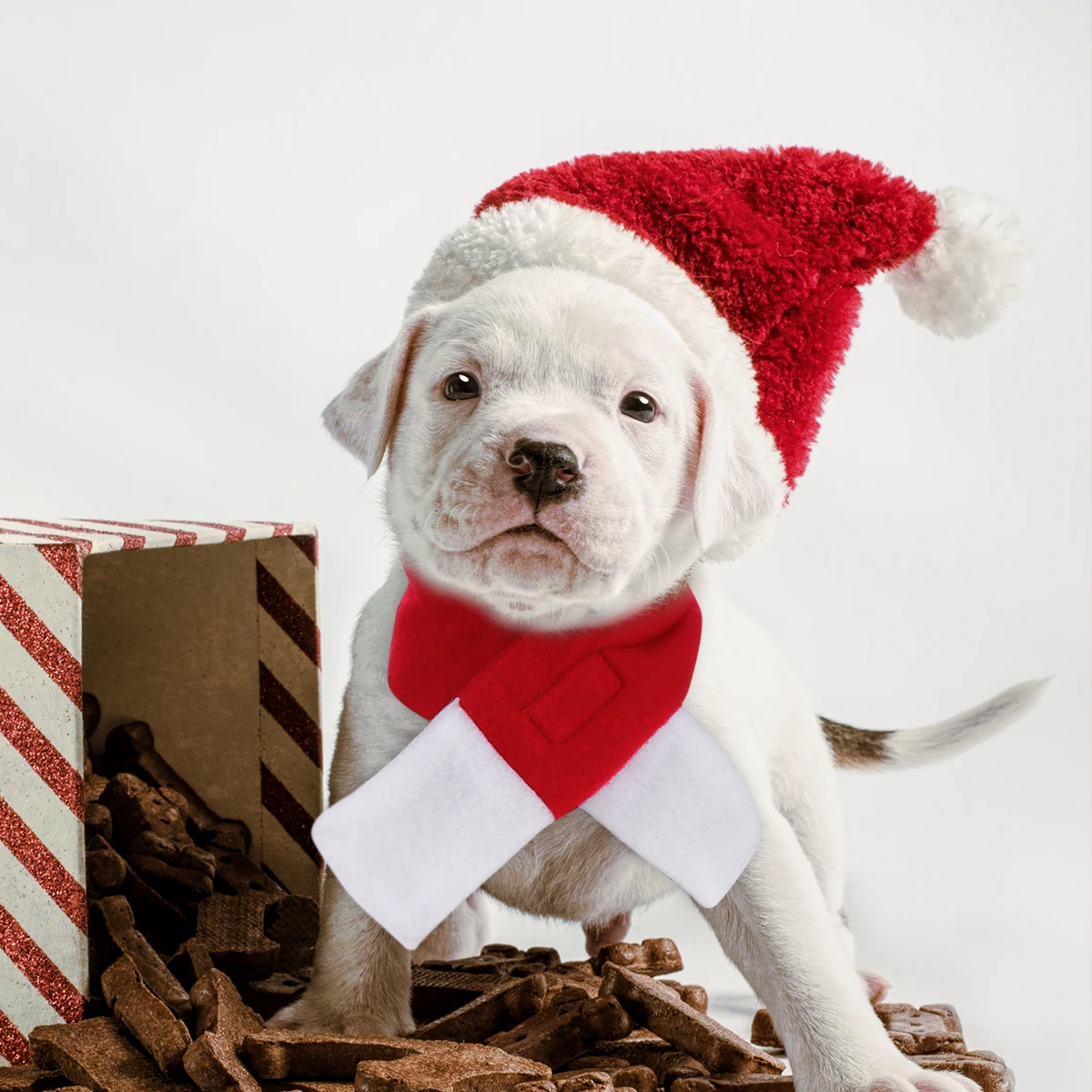 

3 Pcs Polar Fleece Pet Christmas Costume Comfortable Xmas Hat Scarf Adjustable Elastic Strap Red White Dog Accessories Holiday