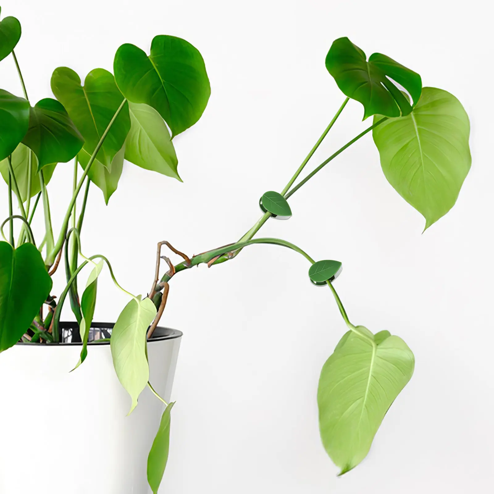 

100 шт. зажимов для растений, клейкие фиксаторы для вьющихся растений, зеленые анкеры для крепления