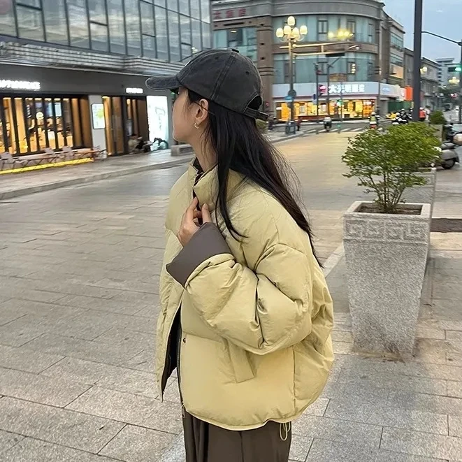 Faionable Color Blo Cotton Jaet Dames Winter Casual donsjas Opstaande kraag Ritssluiting Warmte Dagelijks gebruik