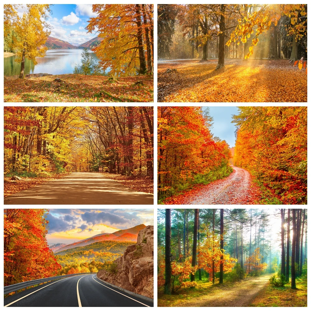 

Autumn Scenery Deciduous Backdrop Deciduous Mountain Road Trees Yellow Fall Leaves View Photography Background Photo Studio Prop