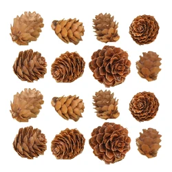 100 Pcs Fine Quality Wooden Pine Cone Xmas Decor Assorted Color Home Office Store Decorative Mini Pine Cone