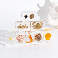 5pcs Marine Organisms Specimens Resin Starfish Conch Crab Shell Animal Collection Taxidermia Paperweight Home Beach Decoration