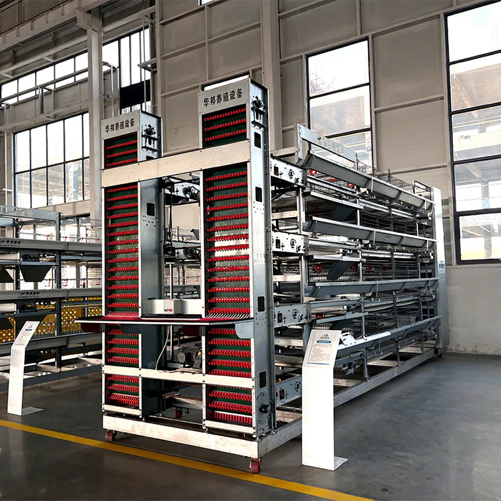 

Лучшая цена на современную автоматическую клеточную систему для кур-несушек типа H/A с горячим цинкованием для птицеферм