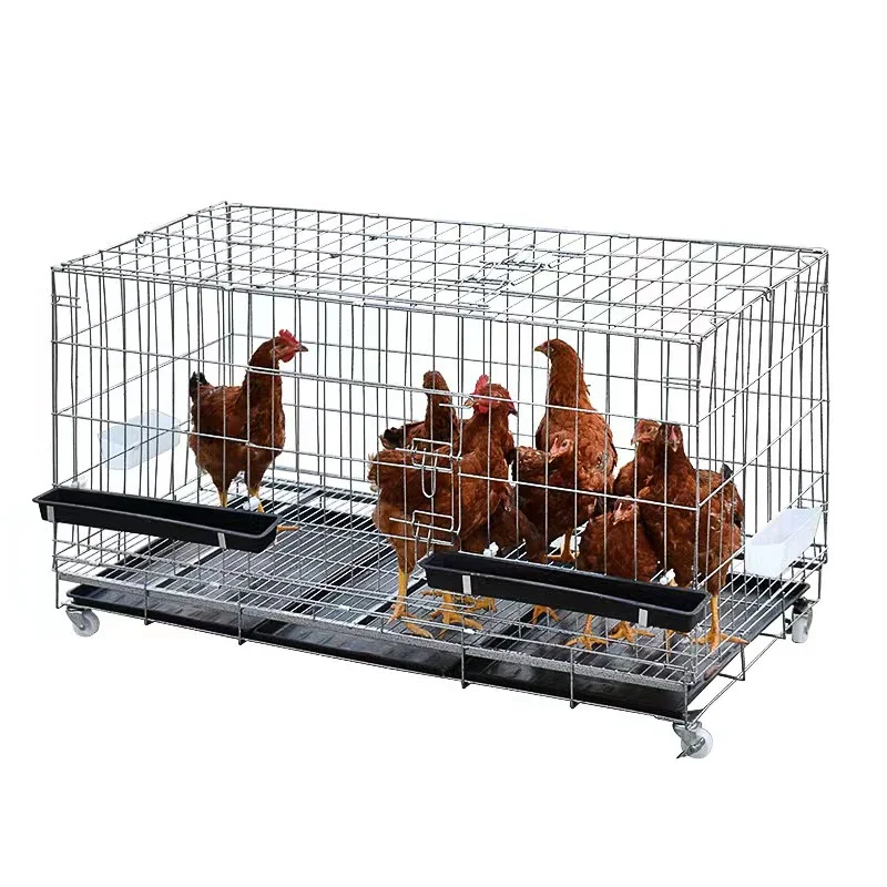 Large Foldable Steel Chicken Coop House Cage With Cover New Condition Mesh Outdoor Hen Run For Yard Backyard Farm