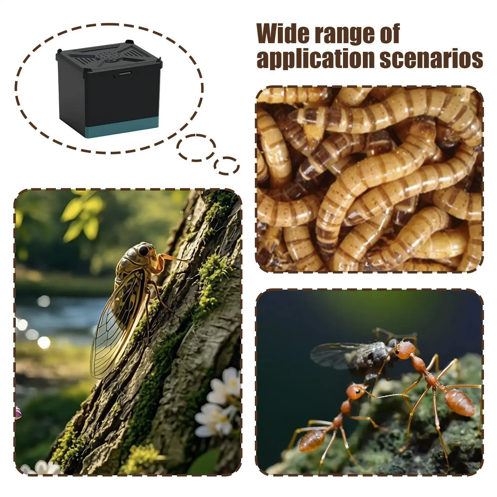 الرتيلاء الضميمة صندوق مراقبة العنكبوت التهوية الموئل للكريكيتس الخنافس الصراصير العناكب العقارب النمل مانتيس