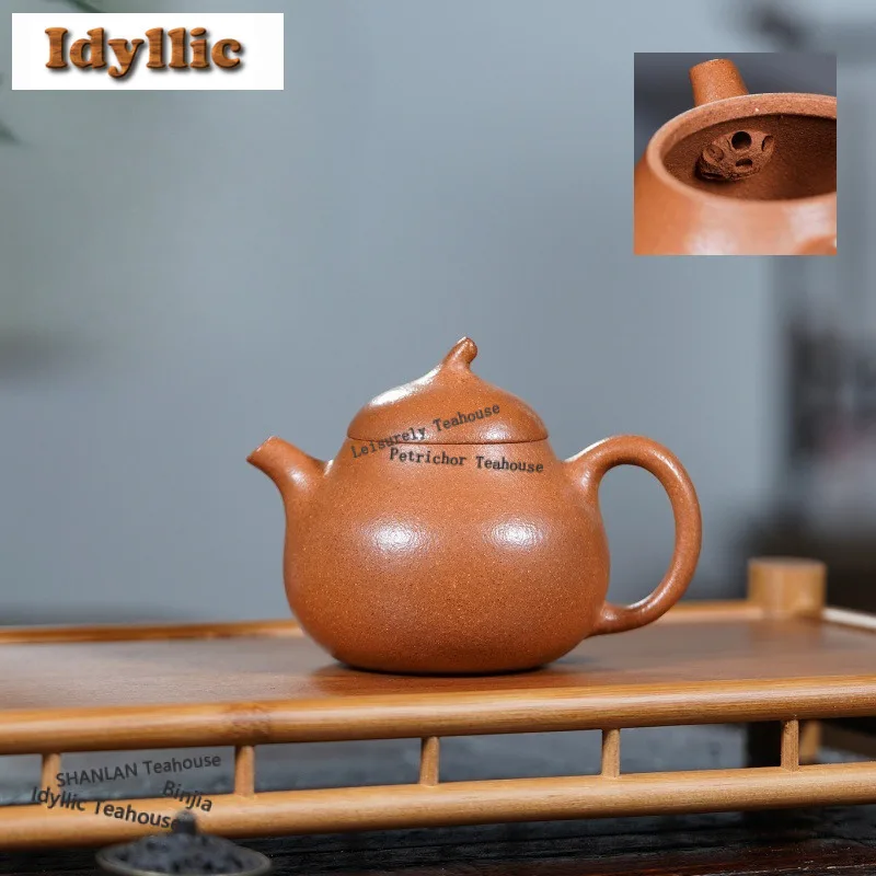 

170ml Yixing Purple Clay Teapots Master Handmade Eggplant Pot Raw Ore Downhill Mud Tea Brewing Kettle With Filter Zisha Tea Set
