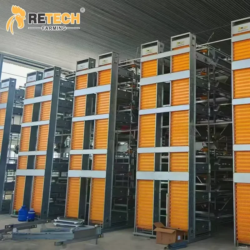 H Frame Chicken Battery Cages for Automatic Poultry Farming Equipment with Egg Collection System for Egg Layer