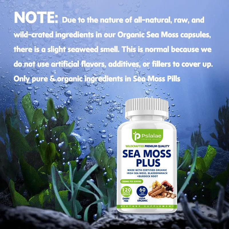 Organic Seaweed Capsules, Containing Wild Carrageenan, Fucus Algae and Burdock Root, Pure Seaweed Supplement, Vegetarian