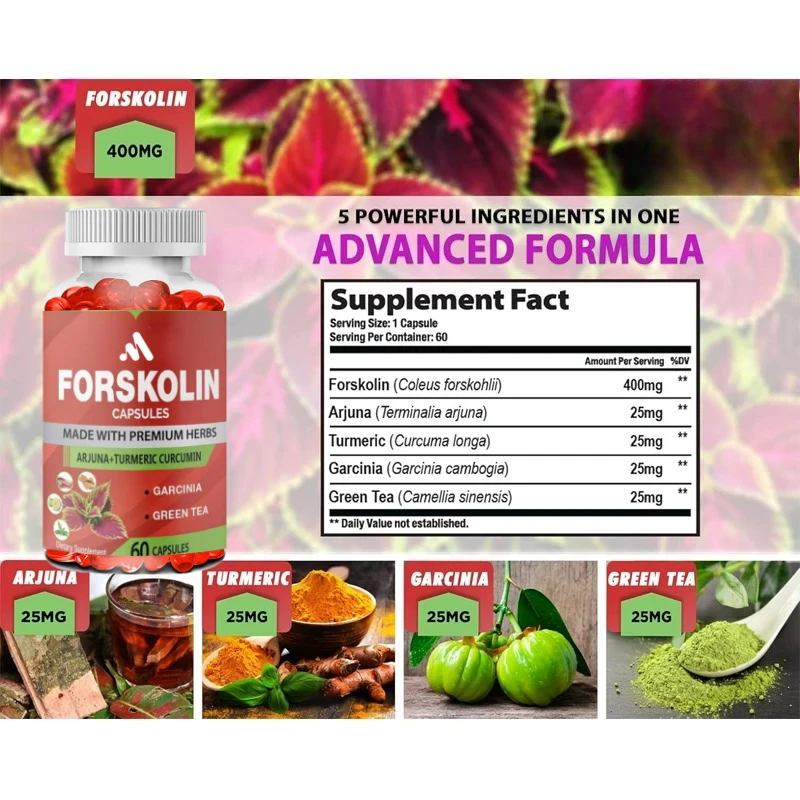 كبسولات مكملات فورسكولين العضوية تحتوي على الكركم والكركمين واللوز والغارسينيا كامبوجيا والشاي الأخضر