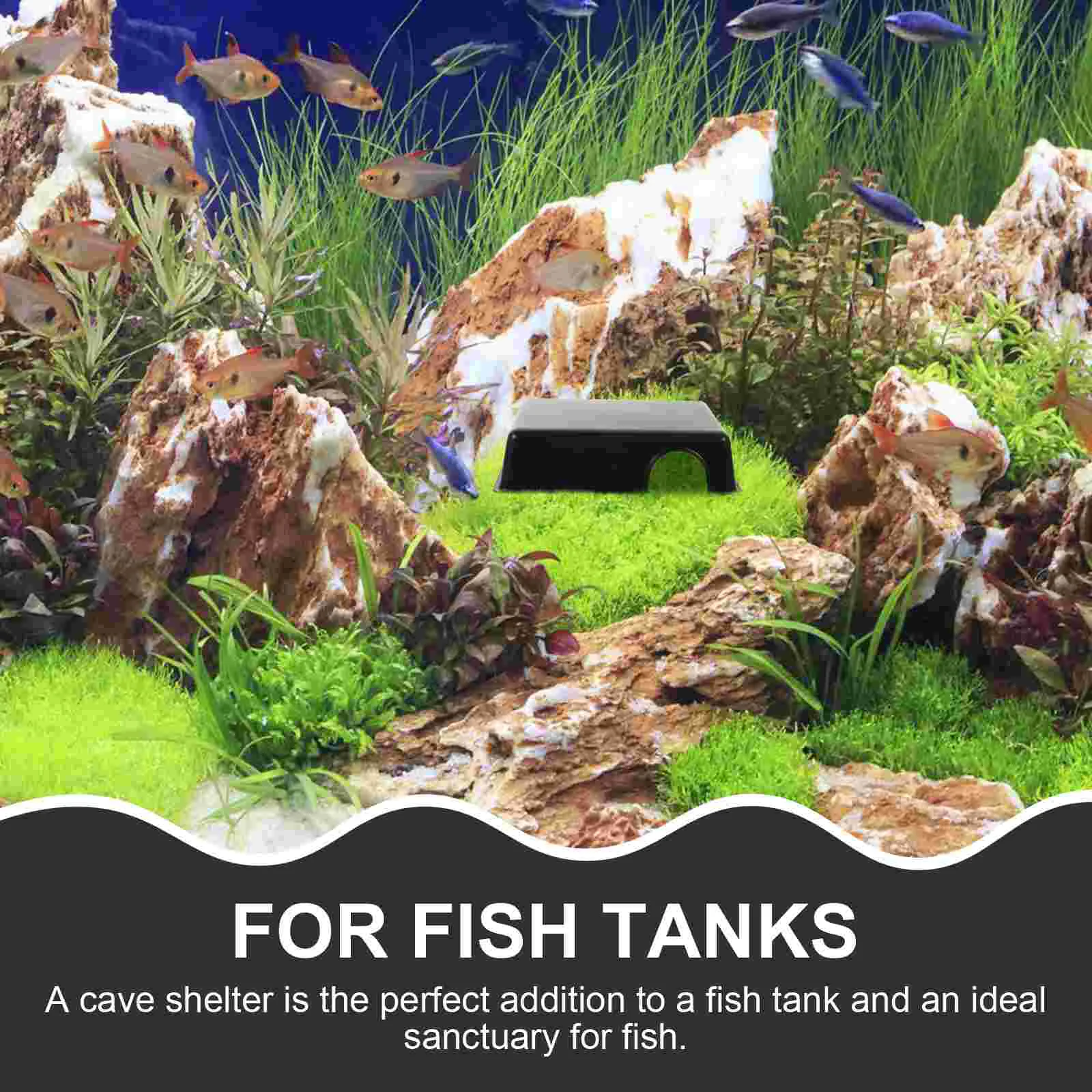 Tortoise Hideout Reptiles from Caves Fish Tank Accessories Accessory Hidden Box Snake Black Plastic The Animal