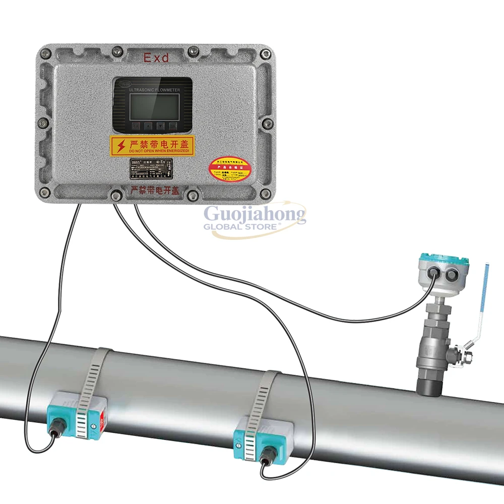 Ex-Proof Ultrasonic Converter | IP68 Transducer Compatible | Panel Mount | For Oil &  and Chemical Industries