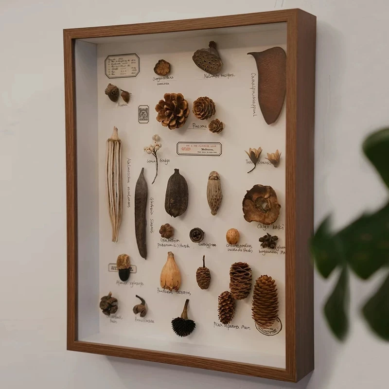 Plant Specimen Shadow Box Frames A4/A3 Wooden Floating Frame Square Display Frame For DIY Shell Dried Flower Insect Leaves Craft
