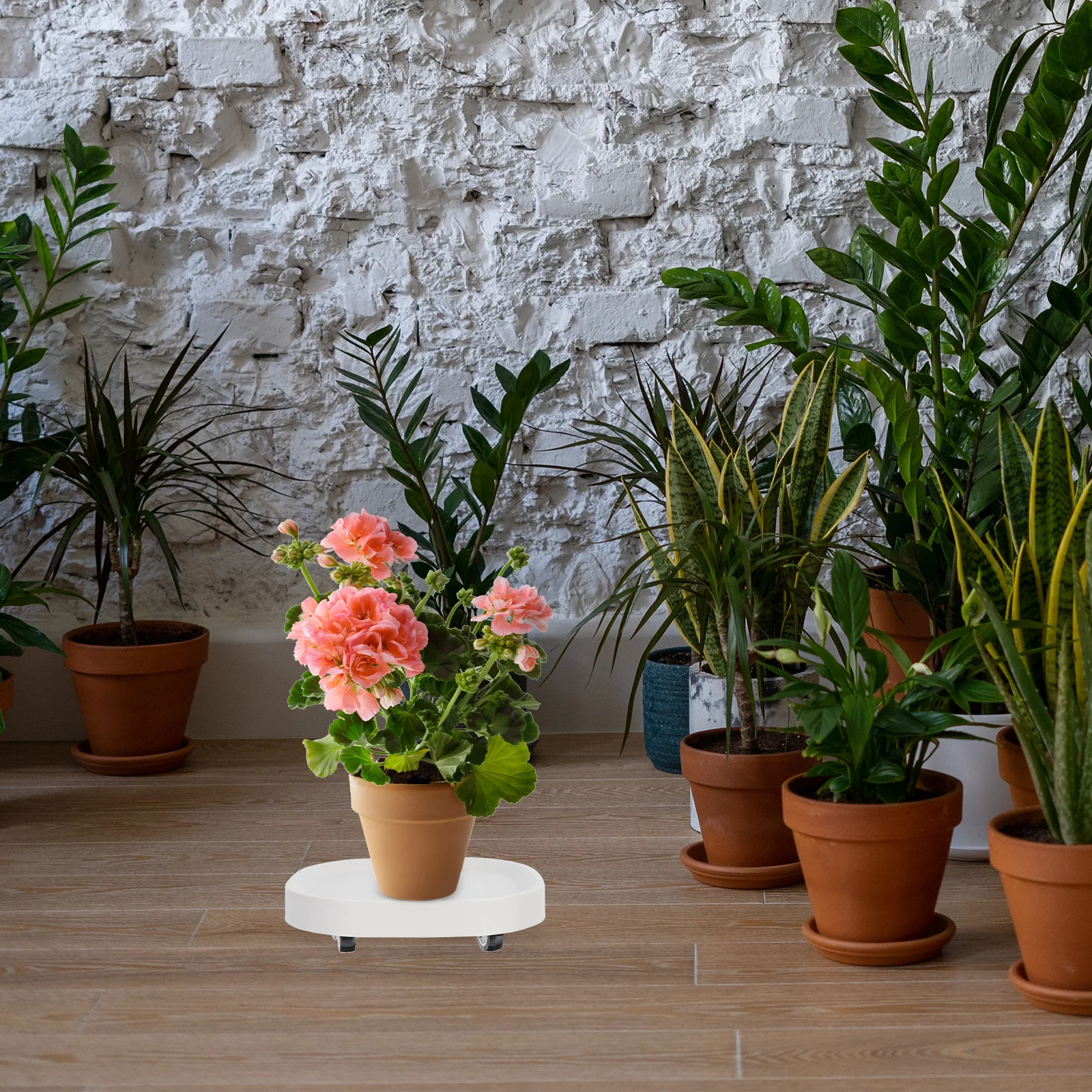 

Flowerpot Base Resin Storage Tray Universal Wheels Movable Plant Pot Holder Removable Planter Stand Durable Water Storage Tray