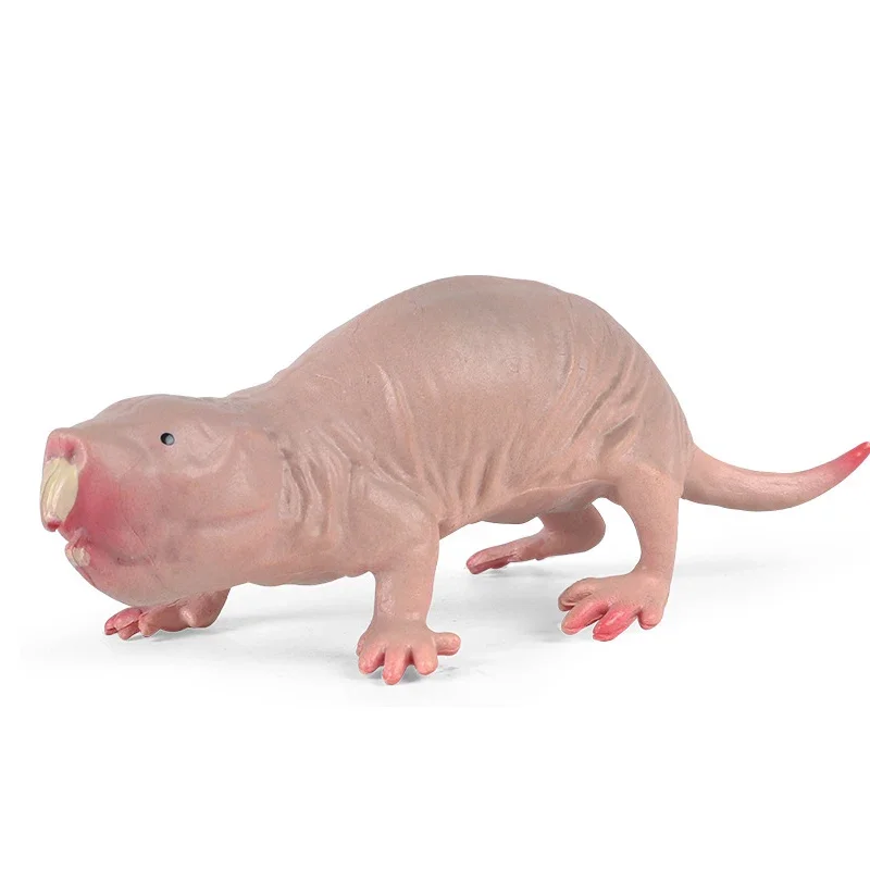 Solid Simulation Naked Mole Rat Wild Animal Model Rat Jungle Thorn Group Mole Rat Model Toy Sand Table Ornaments