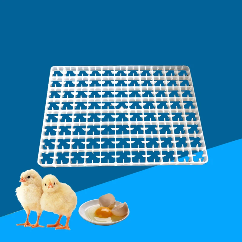 88/112/221 Grid Chicken Eggs Tray For Duck Quail Bird Poultry Egg Incubator Machine Sorting Shipping Eggs Container