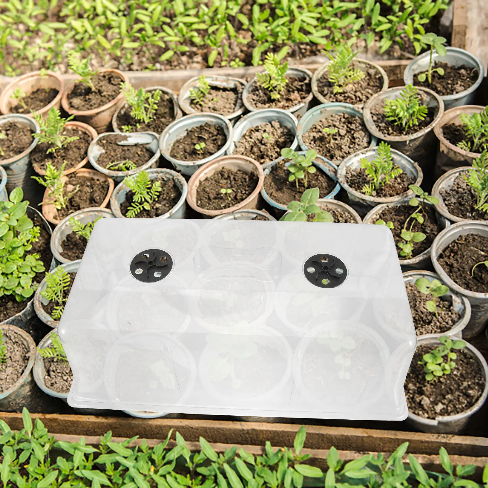 

Reusable Plant Tray Dome Lightweight Plastic Nursery Pot Cover with Ventilation for Mini Plants Germination Case Lid Heat