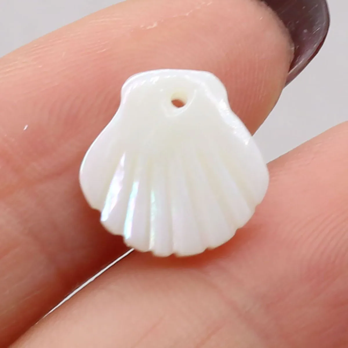 5pcs 12mm Natural Shell White Scallop Small Pendant Charms for Jewelry Making Supplies DIY Women Necklace Earrings Accessories view 2