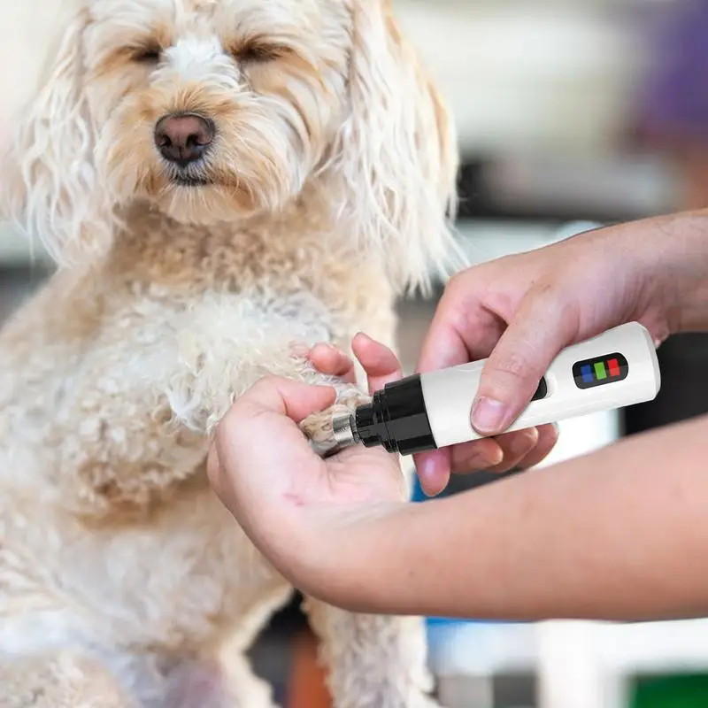 Smerigliatrice per unghie per cani Smerigliatrice per unghie dei piedi per cani e gatti Silenzioso Trimmer per artigli per gattini Strumento per toelettatura delle zampe di cuccioli per animali domestici di piccola, media e grande taglia