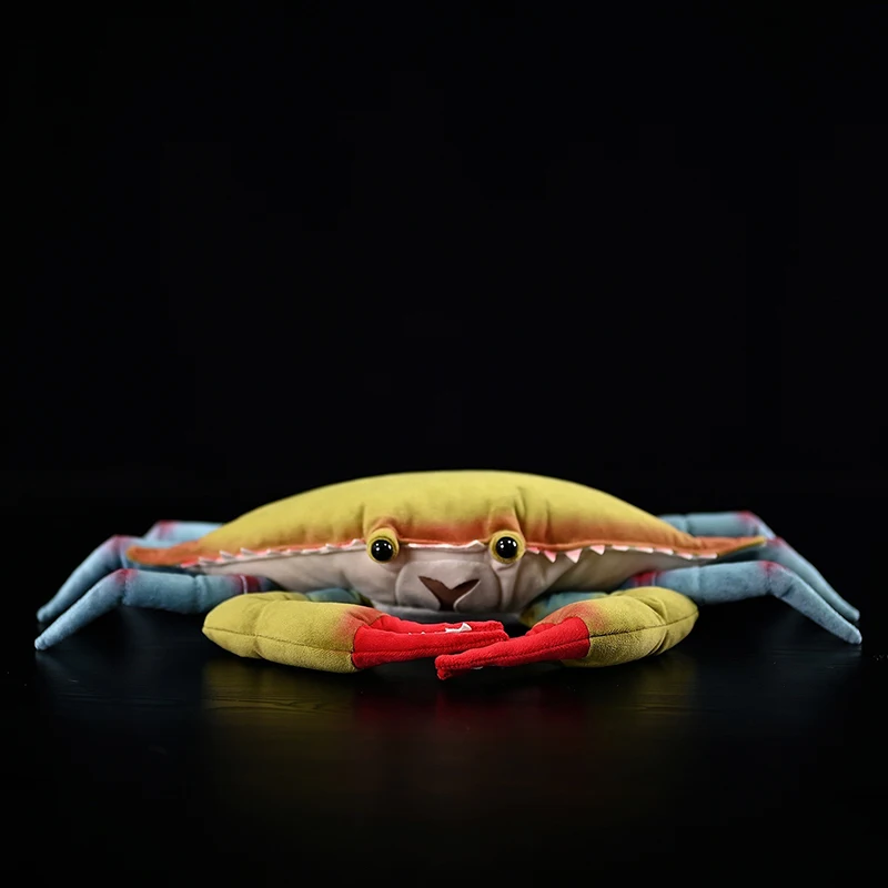 Cute Swimming Crab Plush Toy Portunus Trituberculatus Simulation Realistic Soft Stuffed Doll Lifelike Animal Model Kid's Gift