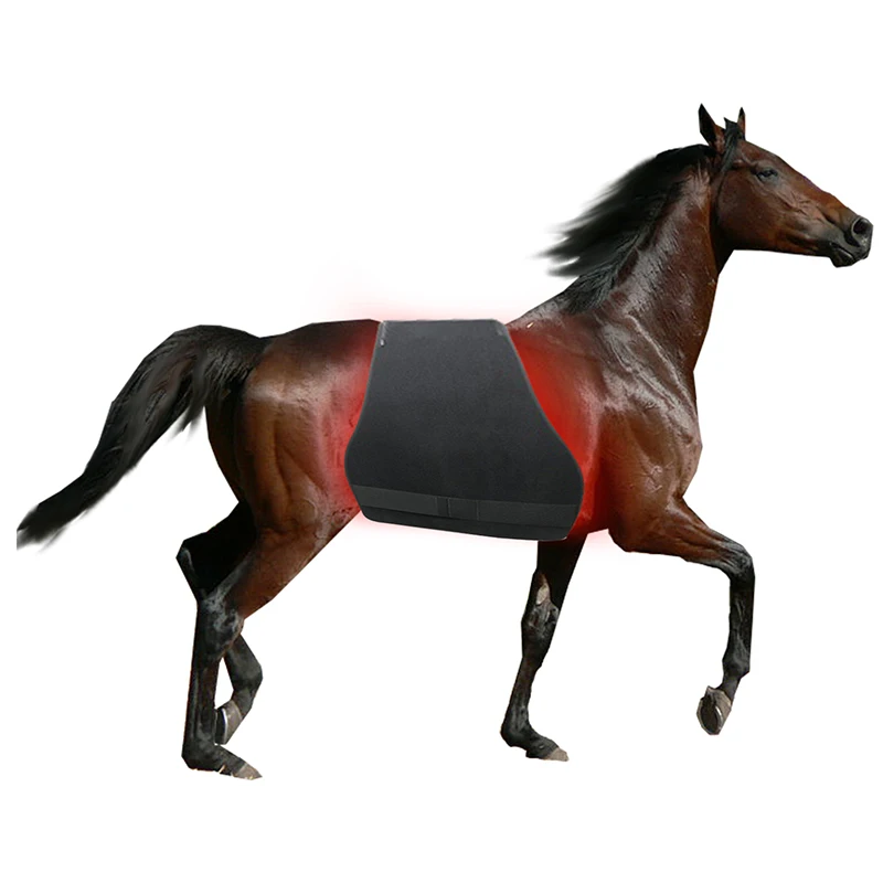 Red Light Therapy Pad for Horse Back 660nm 850nm Red Light Blanket Equine Infrared Therapy Wrap