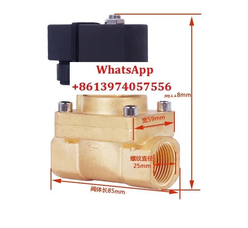 

High pressure solenoid valve 30 kg 3MPA all copper
