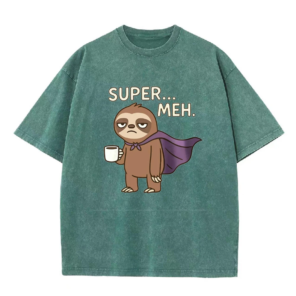 Not Fast Not Furious Cute Sloth Male T Shirts Hip Hop Crewneck Short Sleeve Summer Cotton Tops Casual Sweat Oversized T-Shirts
