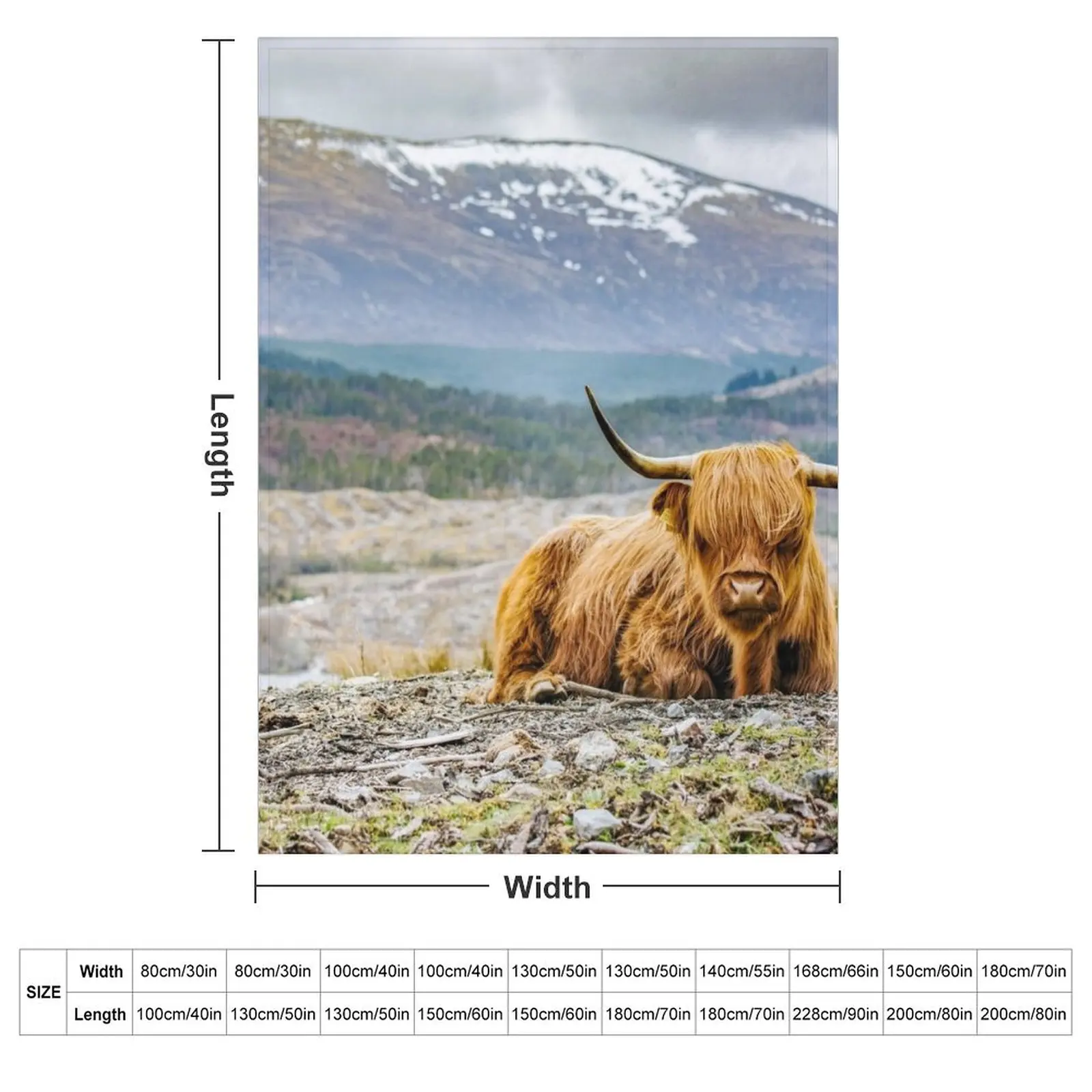 Hairy Higland Cow - A cute and gift for a Scotland lover Throw Blanket Giant Sofa For Sofa Thin Bed Blankets