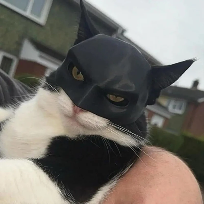 Novo preto morcego gato avenger máscara bonito morcego legal super-herói brinquedos para animais de estimação para gatos e cães maquiagem máscara fontes de festa