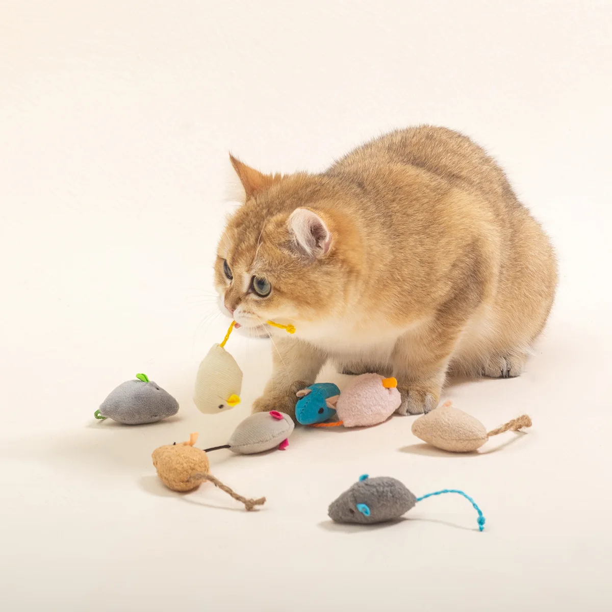 Interaktives Plüsch-Maus-Spielzeug, kratzfestes und zahnendes Katzenspielzeug für kleine Rassen, sicher zum Spielen im Innenbereich