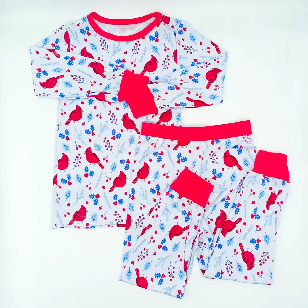 Long Sleeve Birds Print 95% Bamboo 5% Spandex Boys  2-pieses Pajamas 2-4 Years Kids Sleeper Clothes