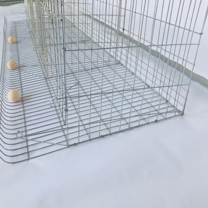 Kandang Ayam Petelur Model Baru dari Kawat Baja Q235, Kandang Ayam Bertingkat Tipe H dengan Pembersih Kotoran Manual