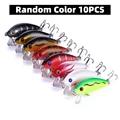 Random Color 10PCS