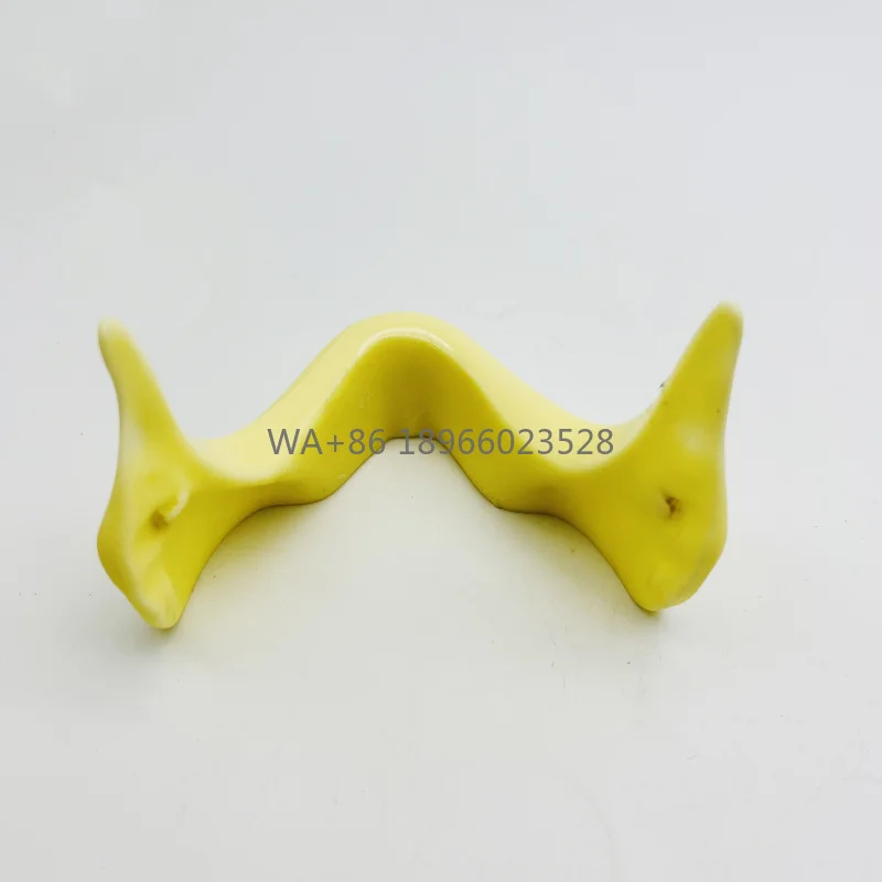 

Practice drilling Lower jawbone shape training model for oral use