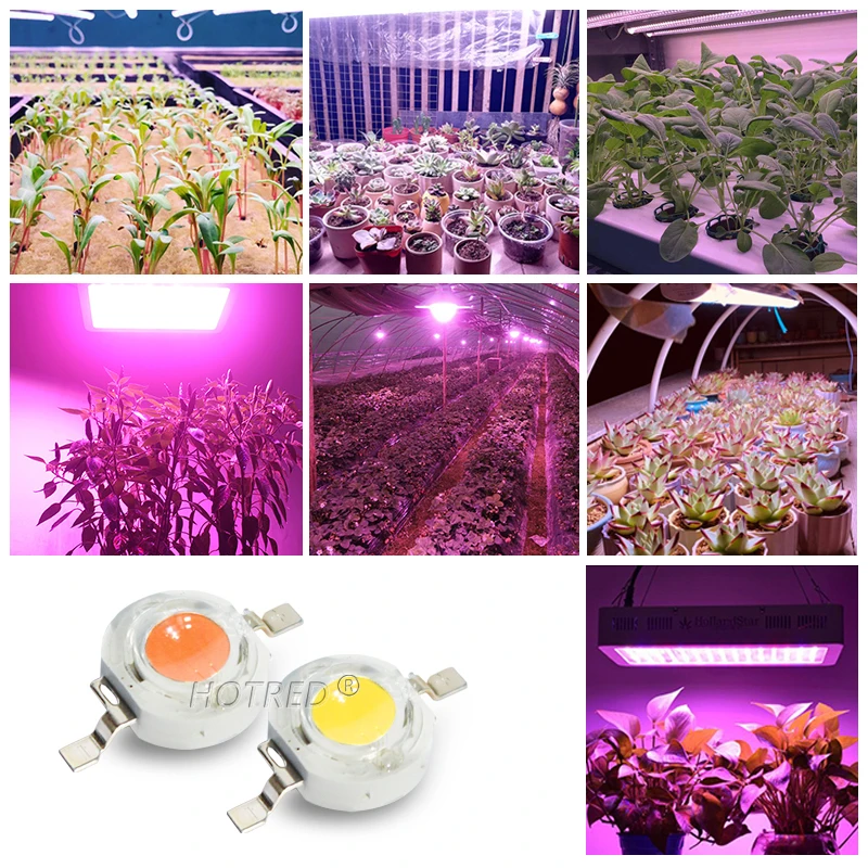 LED 1W 3W 5W 400nm-840nm Full Spectrum Pink White Grow Light Chip COB Diode Beads for Indoor Plant Growth DIY Spot Light Part