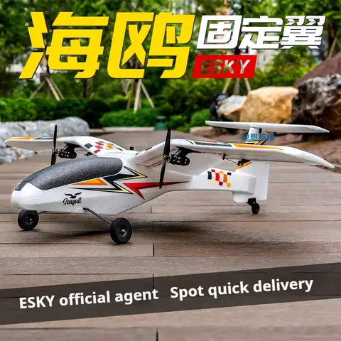 2025 Nieuwe ESKY Seagull dubbele borstelloze motoren Afstandsbediening Vaste vleugel Beginner Afstandsbediening Modelvliegtuigtrainingsmachine