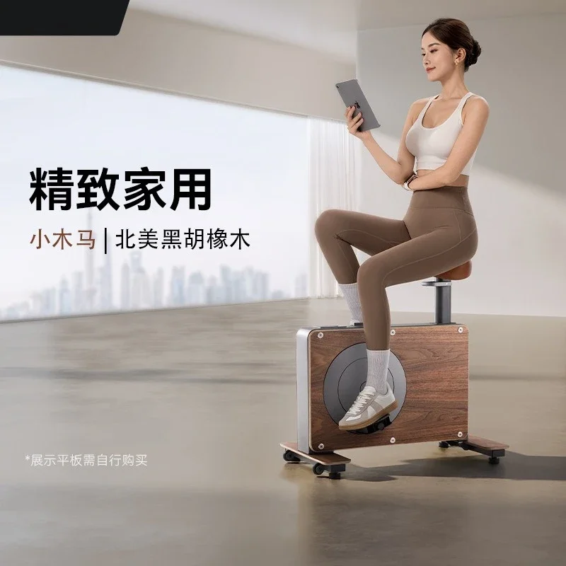 Household small exercise bike, small Trojan horse, indoor silent sports fitness equipment, spinning bike