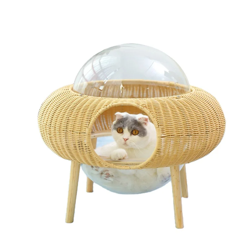 

Popular Modern Pet Product Acrylic Rattan Cat Dog Furniture