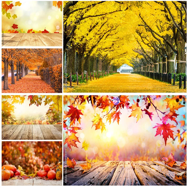 

SHUOZHIKE Natural Scenery Photography Background Fall Leaves Forest Travel Photo Backdrops Studio Props 211224 QQTT-04