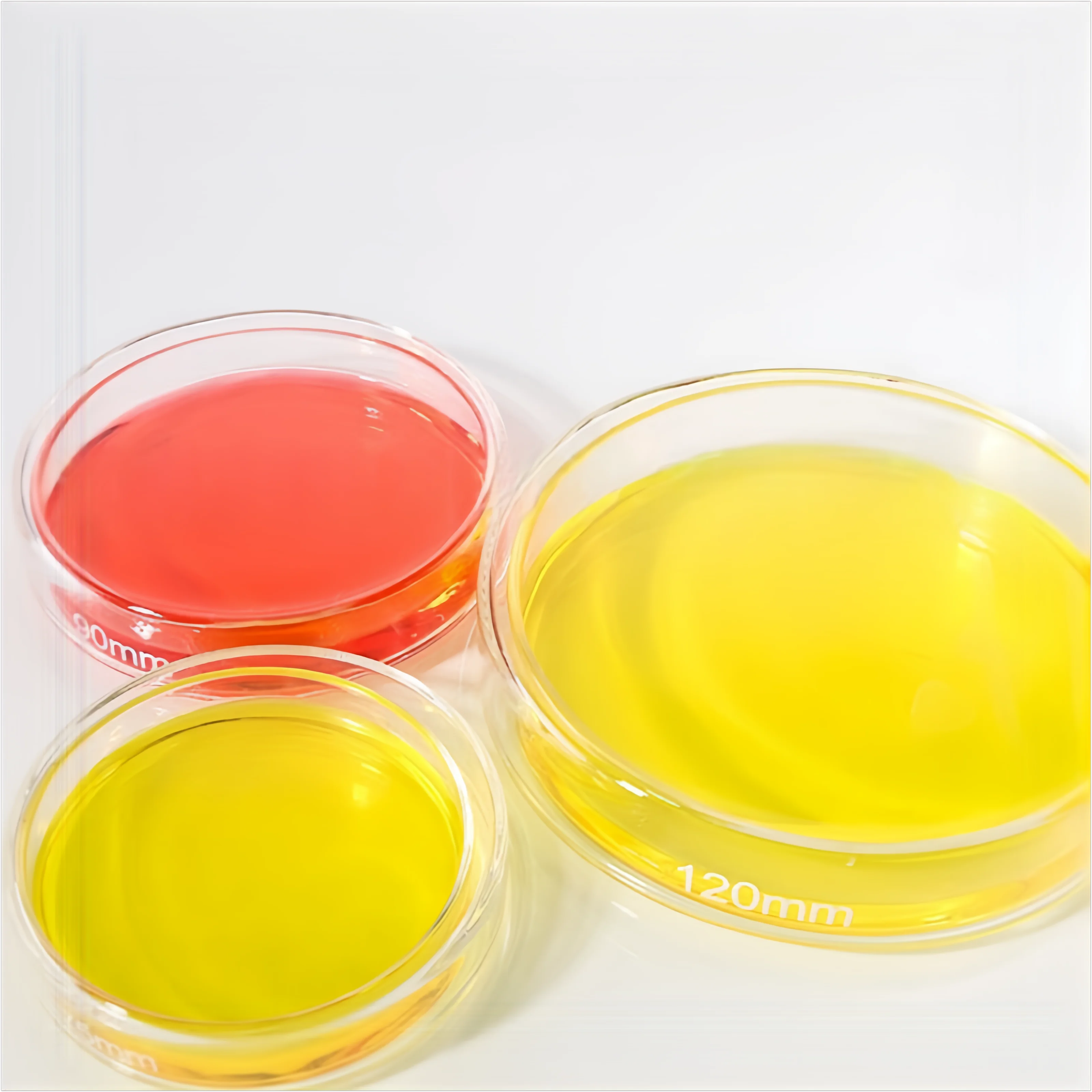 

Thickened High Borosilicate Glass Petri Dishes Lids 75mm - Premium Lab-Grade Culture Dishes Cell/Biological Experiments JVLAB