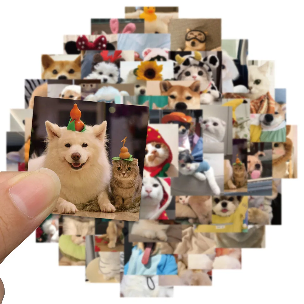 10/30/50/100pcs Kawaii Animale Gatto Cane Meme Adesivi Cute Pet Gattino Cucciolo Adesivo Del Fumetto di Skateboard Diario Del Telefono Graffiti Decalcomanie