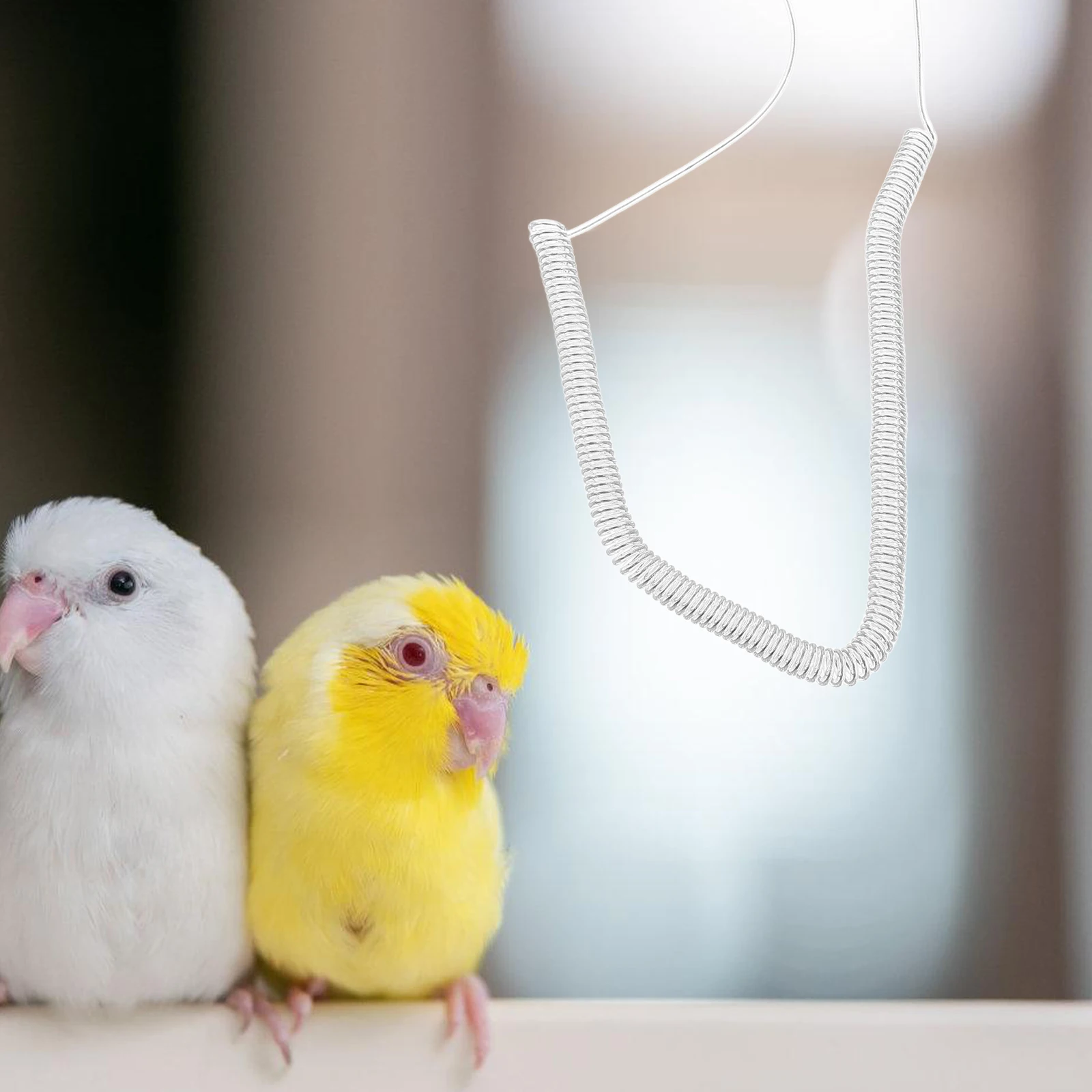 

Ankle Ring Set 3M Adjustable Bird For Training Outdoor Flying Elastic Parrot Harness Pet Parrot Leash Leash