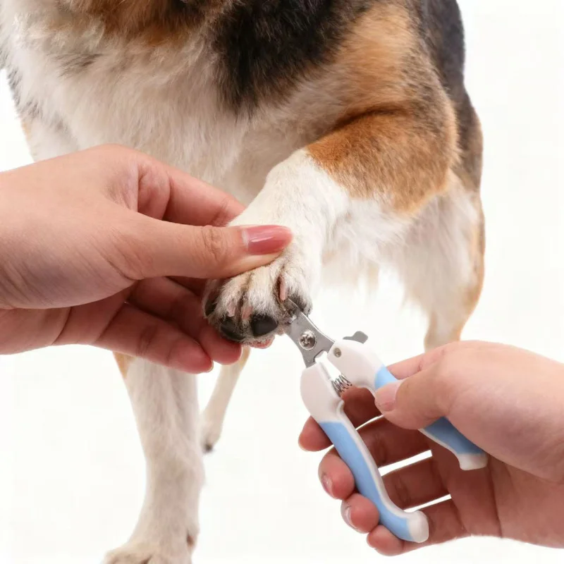 

Pet Nail Clippers for Dogs and Cats, Stainless Steel Grooming Scissors with Straight Handle, Safe Toe Claw Trimmer Tool